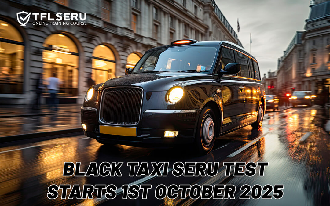 Taxi Driver SERU Test 2025